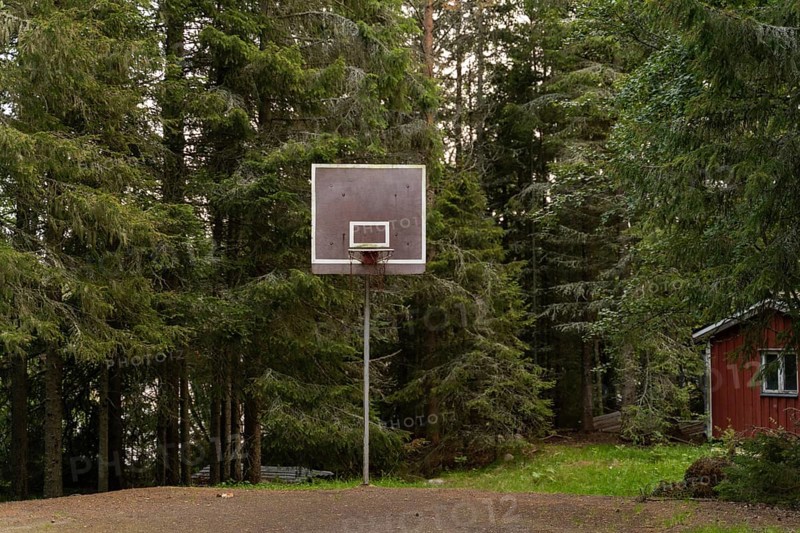 A solitary basketball hoop stands amidst dense, lush forest in Sweden. The serene setting offers a tranquil blend of sport and nature, captured in rich green hues