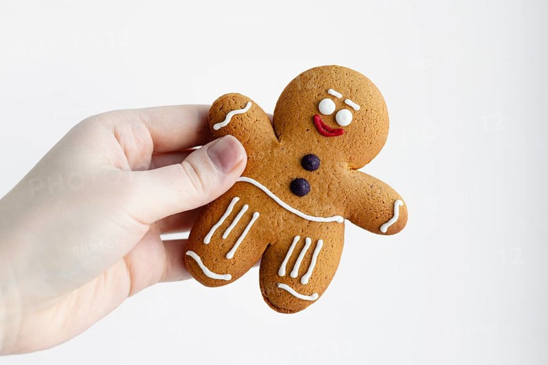 Close-up of a hand holding a cheerful gingerbread man cookie decorated with white icing The background is plain white, highlighting the festive treat's details