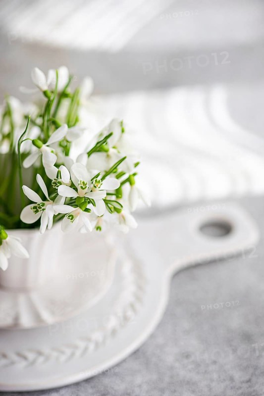 Fresh spring snowdrops in a white ceramic vase, elegantly displayed on a kitchen presentation board. The simple arrangement captures the essence of spring beautifully