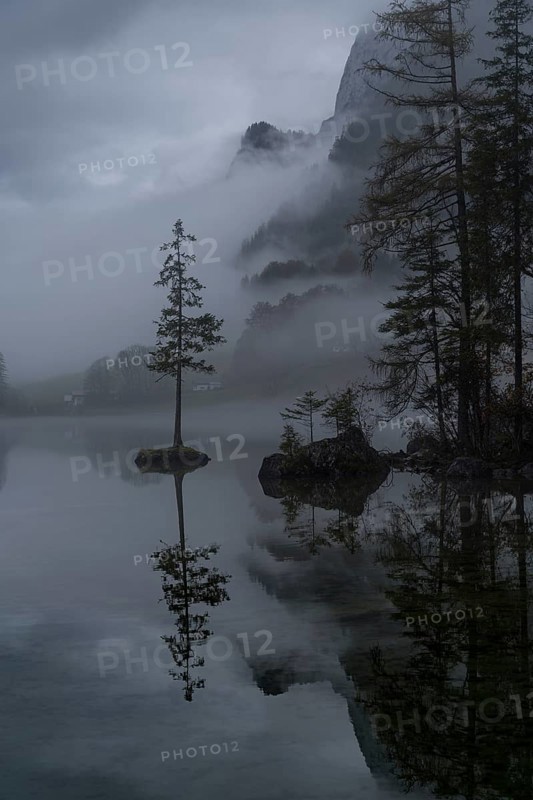 A moody and serene view of Hintersee Lake in the Bavarian Alps, shrouded in mist Lone trees on small rocky islands are reflected in the still water, creating a mystical atmosphere
