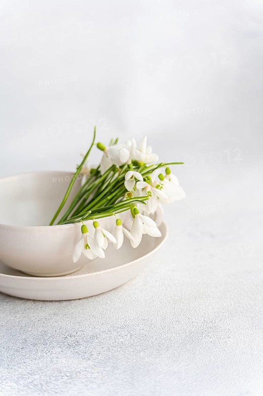 Fresh spring snowdrops elegantly arranged in a white ceramic bowl on a textured pale background. The delicate white bloom contrasts softly with the minimalist setting, perfect for springtime themes