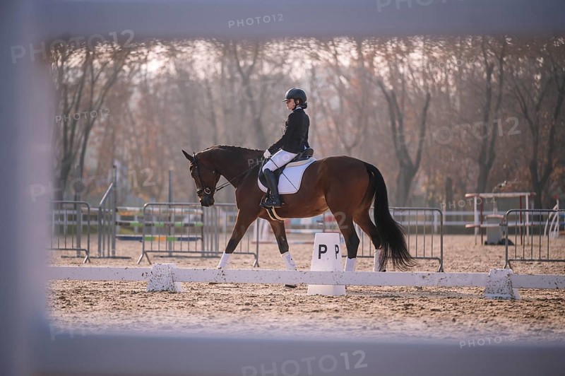 A female teenager rides a dark brown horse in an outdoor dressage arena, demonstrating a classical dressage posture. She is dressed in traditional equestrian attire and her focus is dedicated to her riding form as they approach a lettered marker