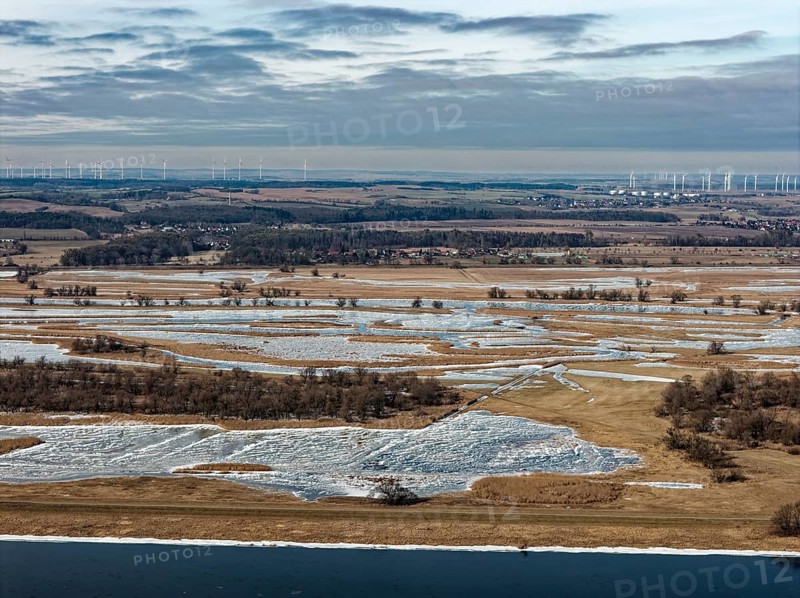 Ice and snow-covered foothills of the Oder in the Lower Oder Valley National Park. aerial view. Schwedt, Uckermark, Brandenburg, Germany