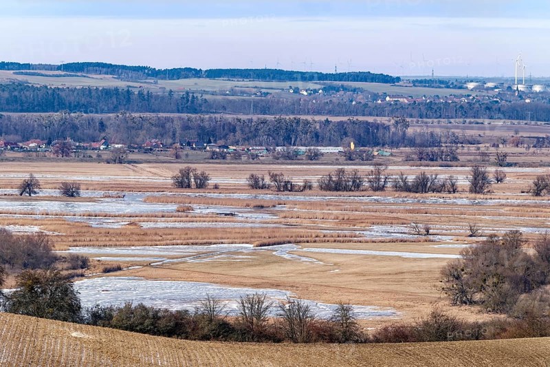 Ice and snow-covered foothills of the Oder in the Lower Oder Valley National Park. Schwedt, Uckermark, Brandenburg, Germany