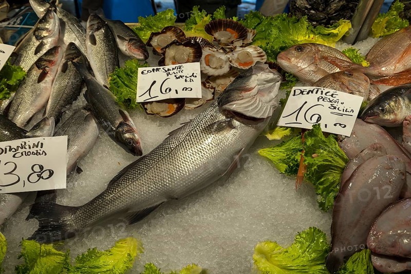 Fresh fish on ice, fish market, rialto market in the San Polo district, Venice, Veneto, Italy