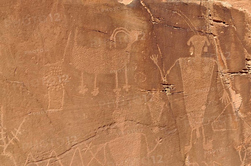 Close-up of petroglyphs from the Fremont culture on sandy rock, Dinosaur National Monument, Utah, USA