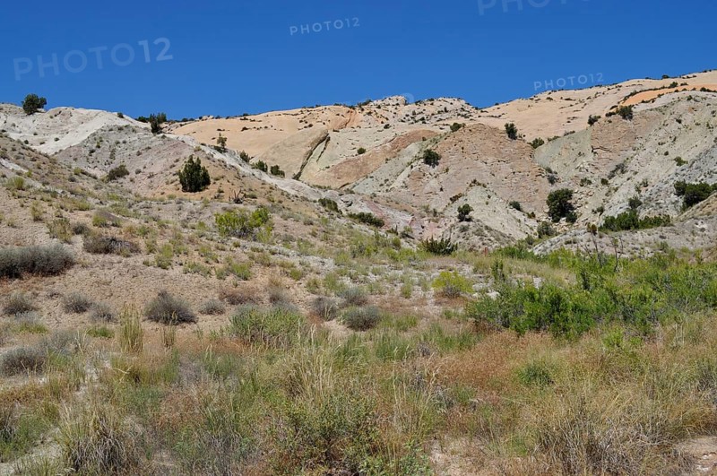 Colourful hills with sparse vegetation and clear skies in desert-like surroundings, Dinosaur National Monument, Utah, USA