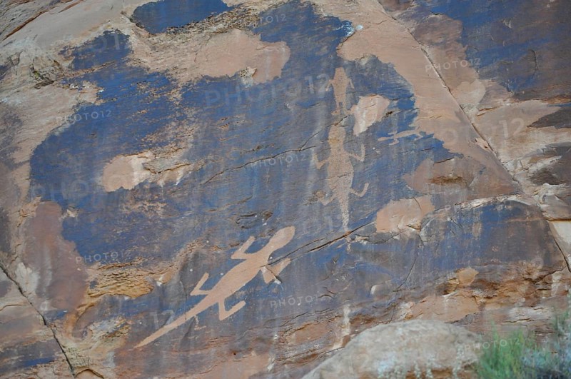 Petroglyphs of the Fremont culture of lizards on a blue sandstone, Dinosaur National Monument, Utah, USA