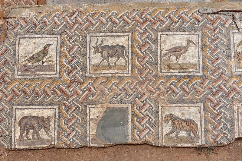 May 17th 2024. Carthage, Tunisia Mosaics at the ancient archaeological ruins of the Phoenician city of Carthage overlooking the Gulf of Tunis and the Mediterranean, Tunis, Tunisia