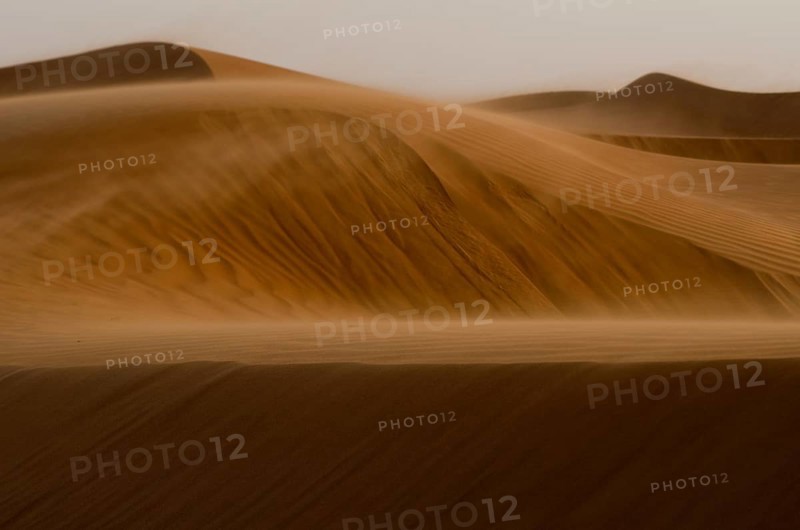 Wind blows the desert of Oman near A'Sharqiyah Sands