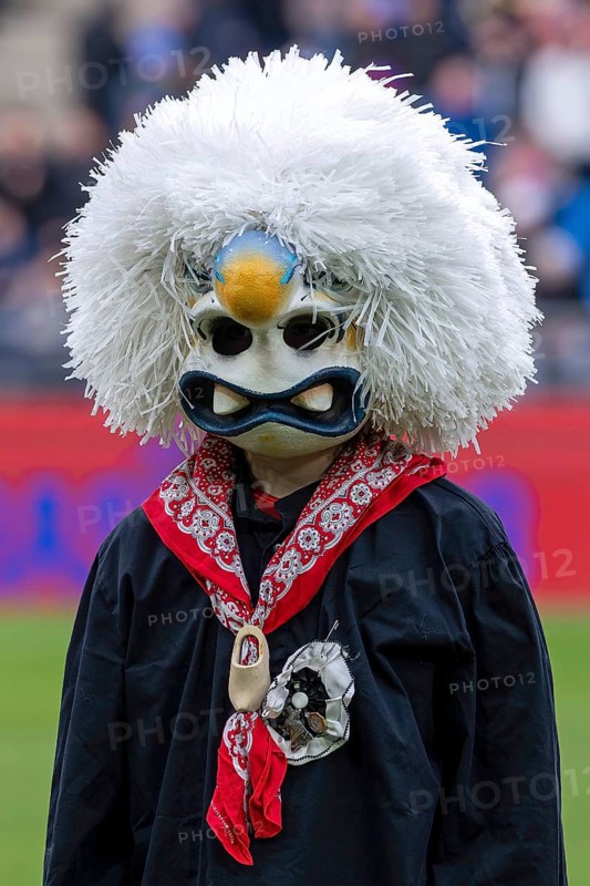Carnival reveler with a large nose, Basel, Switzerland