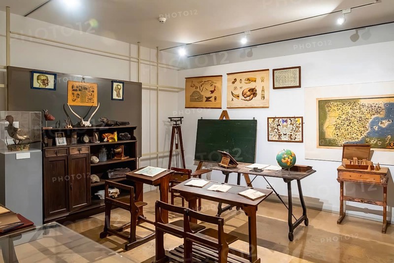 Vintage classroom with old wooden desks, a chalkboard, and display cases showcasing historical educational artifacts, including anatomical charts, maps, and animal specimens for science study