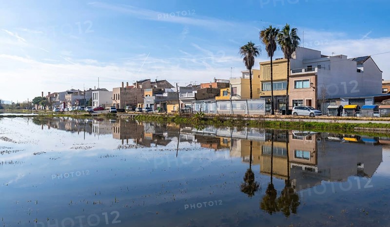 El palmar fishing village and palm trees mirrored in calm flooded rice paddies of albufera natural park, valencia tranquil rural mediterranean landscape under blue sky