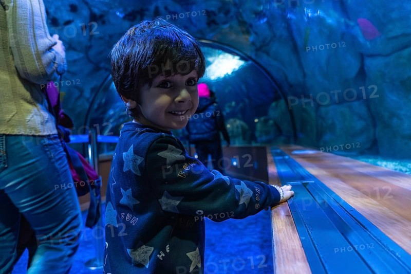 Young boy happily exploring an aquarium tunnel, discovering marine life and experiencing fascination and wonder with the vibrant blue underwater world