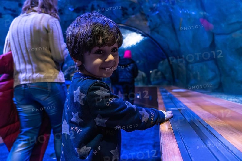 Young child with dark hair smiles, looking over shoulder while enjoying an immersive visit to an underwater tunnel in a large public aquarium, discovering marine life