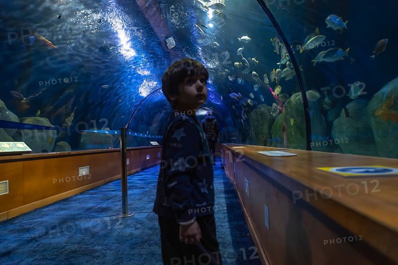 Young boy standing in a vibrant blue underwater tunnel at an aquarium, looking up with wonder at the diverse tropical marine fish swimming overhead, experiencing a sense of awe and discovery