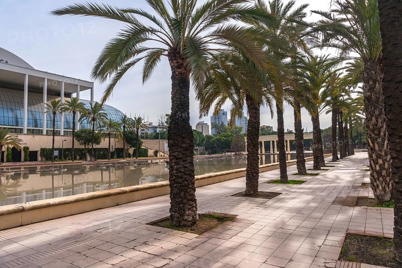 Palau de la musica building and modern architecture reflecting in the water, with a row of tall palm trees lining the pathway in the sunny turia gardens city park