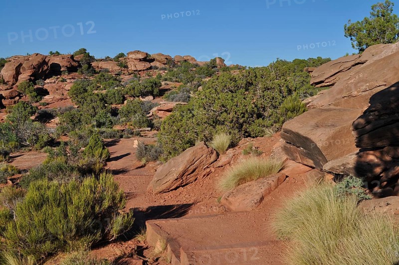 Rocky hiking trail through dry landscape with rocks and shrubs, Canyonlands National Park, Island in the Sky, Utah, USA
