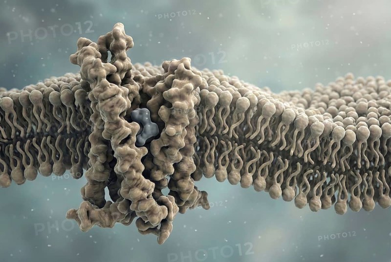 Molecular interaction of a drug with a specific cell receptor to represent targeted drug binding, AI generated