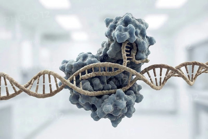 Visualization of the CRISPR-399 complex during targeted editing of a DNA double helix. The protein encloses the DNA strand and shows a biologically plausible double-strand break with slightly fanned ends. Neutral molecular presentation in the style of a structural biology visualization with a calm off-white background, AI generated