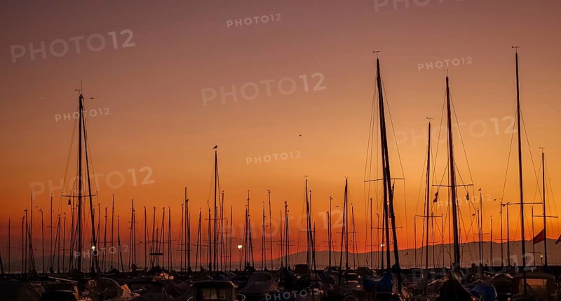 Serene sunset view over Lake Leman featuring multiple sailboat masts silhouetted against a vivid orange sky, captured in Lausanne