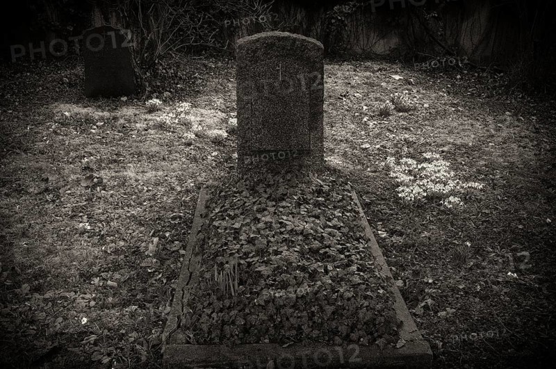 Snowdrop (Galanthus nivalis) gravestones, graves, Historic Old Cemetery, black and white, Fellbach, Baden-Württemberg, Germany