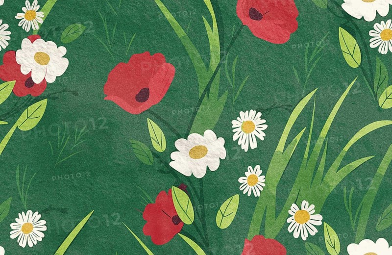 Colorful flowers bloom in spring, featuring red poppies and white daisies surrounded by fresh green leaves. This lively illustration captures the essence of springtime beauty