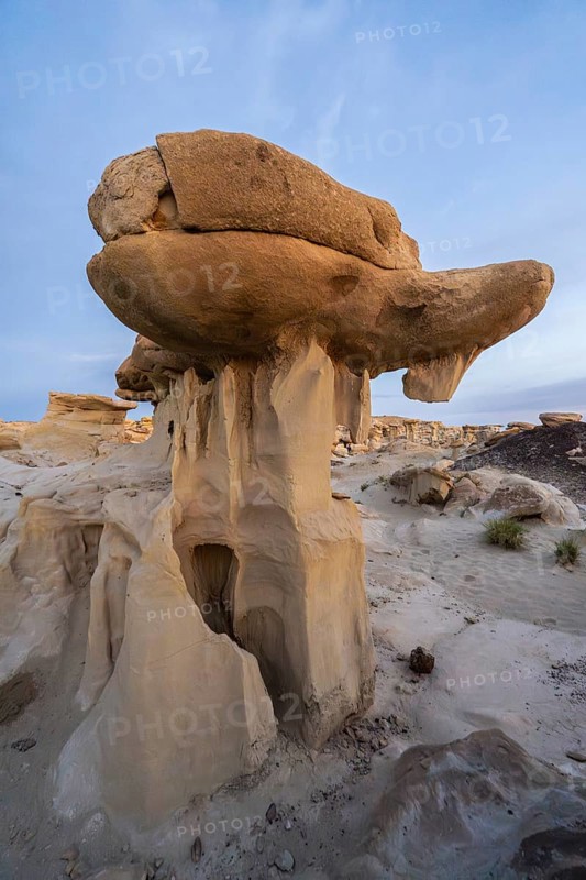 Explore the unique rock formations of Bisti De-Na-Zin Wilderness in New Mexico, USA Erosion and time sculpted these captivating hoodoos in a stunning desert landscape