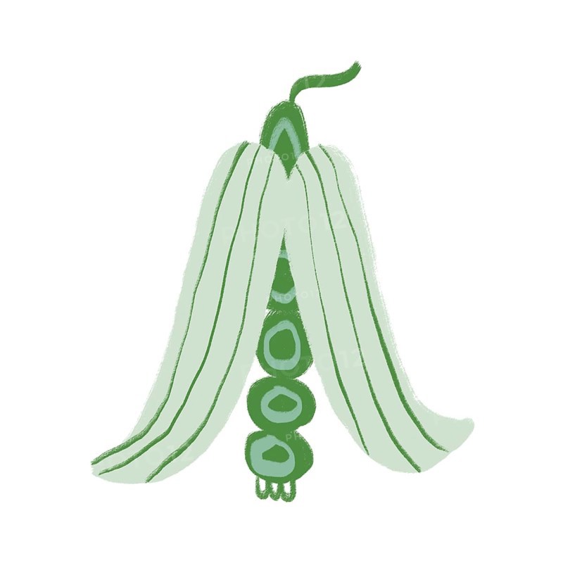 A vibrant illustration of green flowers with a whimsical, modern aesthetic The minimalist design features abstract, flowing lines in various green shades, creating a serene, nature-inspired artwork
