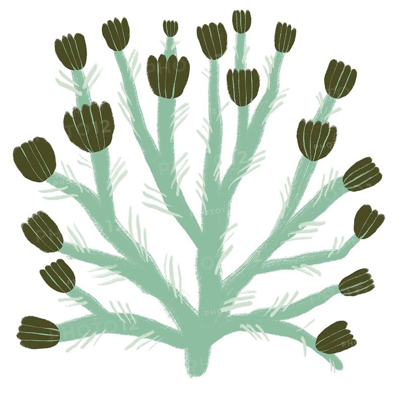 Illustration showcases a stylized depiction of green flowers in an abstract pattern The design features a harmonious blend of shapes and colors, perfect for textile, wallpaper, or creative projects