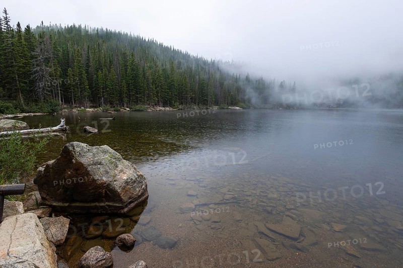 A foggy morning envelops a tranquil mountain lake surrounded by dense pine forests in Colorado, showcasing nature's serene beauty