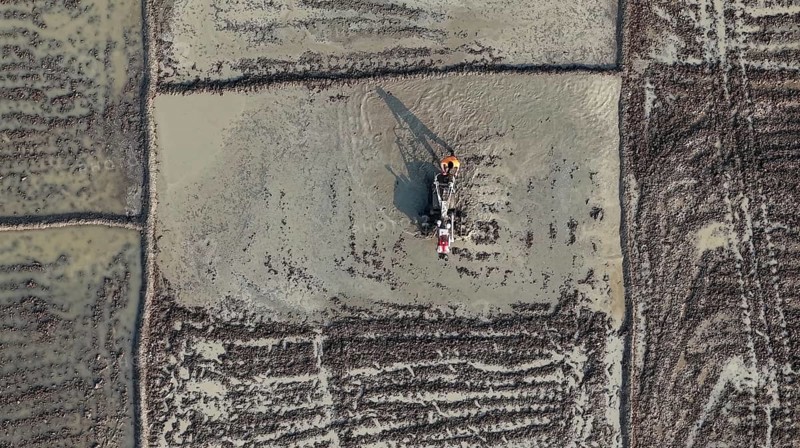 In an aerial view, a farmer ploughs a rice paddy field with a power tiller on February 16, 2026 in Mayong, India
