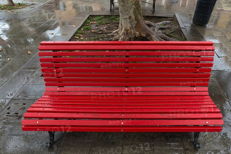 Rain-wet park bench in a square in Venice, Veneto, Italy