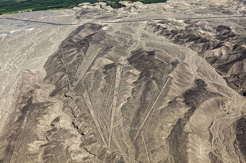Aerial view shows clear line patterns on dry mountain areas in the desert, the geoglyphs and images in the desert near Nasca and Palpa in Peru