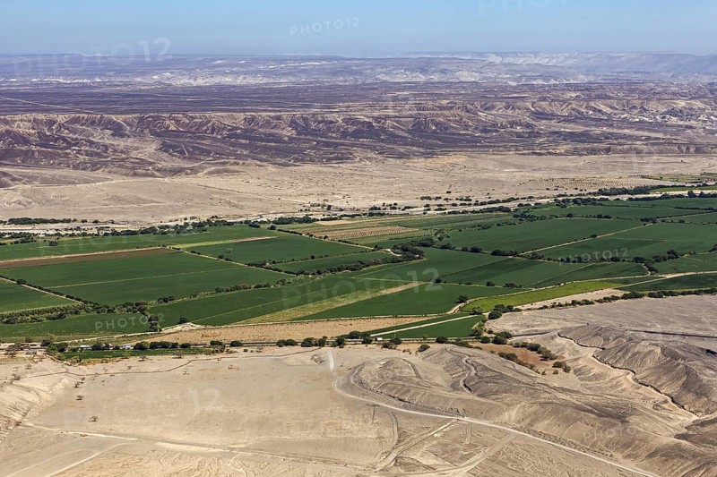 Extensive green fields nestled in a vast, barren desert landscape, the desert landscape near Nasca in Peru
