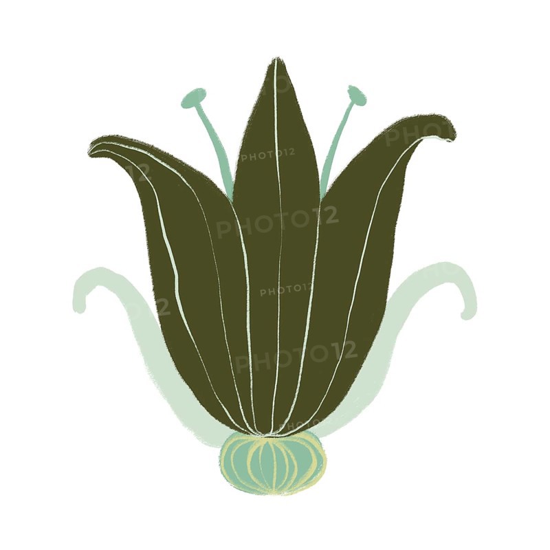 A digital illustration of a green flower with stylized organic shapes and intricate details This design captures the essence of nature's beauty and artistic expression