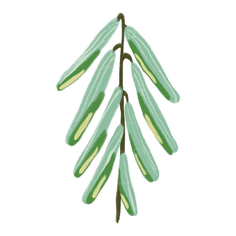 A captivating illustration showcasing delicate green flowers in a minimalist design This artwork embodies elegance and simplicity with its refined color palette
