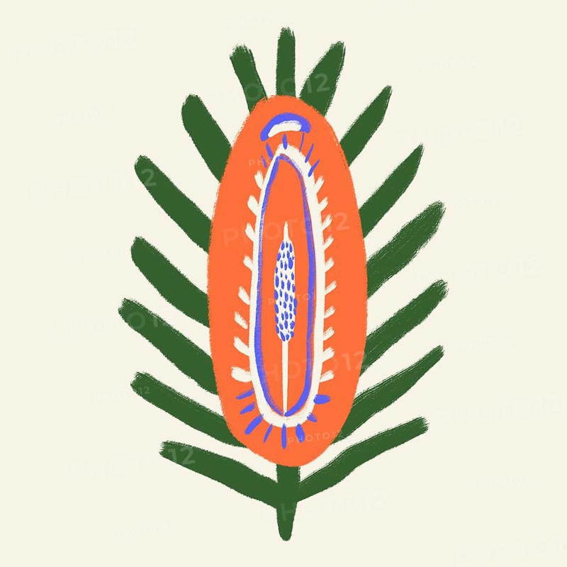 An abstract, colorful illustration depicting the vibrant and vivid interior of a spring flower, set against a soft green background