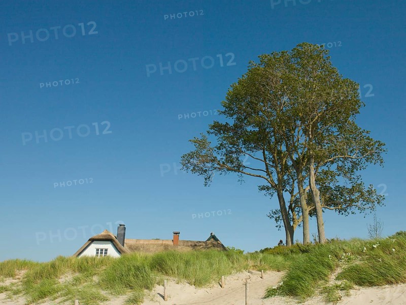 Coastal scene, with a thatched building, Ahrenshoop, Baltic Sea, Vorpommern-Rügen district in Mecklenburg-Western Pomerania, Germany
