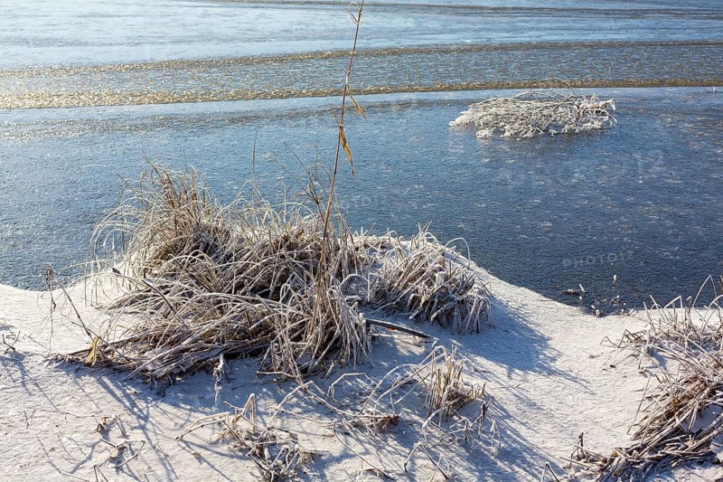 Hoarfrost and ice on the banks of the Elbe, Coswig, Saxony, Germany