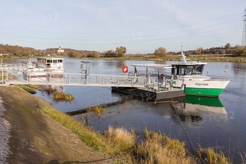 Klarisse electric ferry on the Elbe at Niederlommatzsch ferry terminal, Neuhirschstein Castle in the background, Saxon Elbland, Saxony, Germany