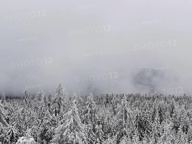 Snowy winter forest under thick fog, conveys a quiet and cold atmosphere, hiking in the Fichtelgebirge nature park Park