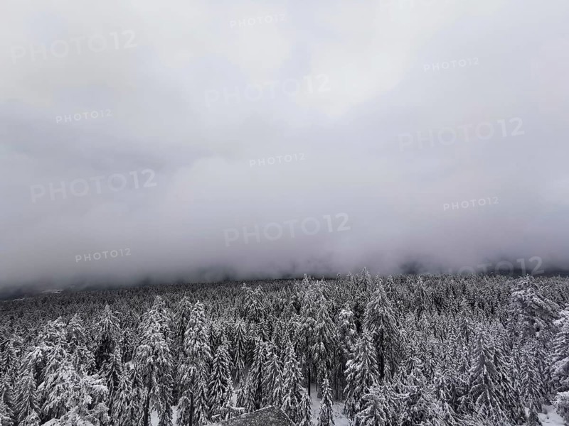 Thick fog surrounds a snow-covered forest landscape, hiking on Ochsenkopf in the Fichtelgebirge nature park Park