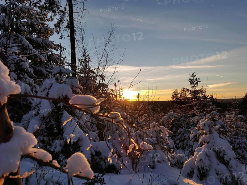 Winter landscape with snow-covered trees and sunset on the horizon, winter, hiking in the Franconian Forest nature park Park