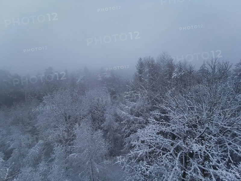 Foggy, icy winter forest, where the trees disappear under a thick blanket of fog from above, Frankenwald nature park Park