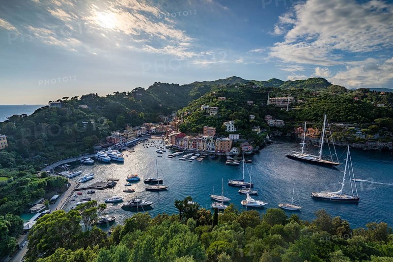Boats in Portofino Harbour, Portofino, Liguria, Italy