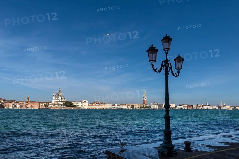 View of Santa Maria della Salute and the Campanile in Venice from Guidecca Island, Venice, Veneto, Italy
