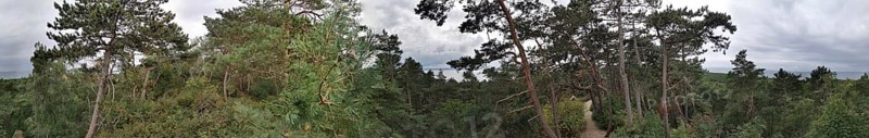 Panoramic view of a wooded landscape through which a sandy path leads on the Baltic Sea under a cloudy sky, Fresh Spit, Polish Baltic Sea, Poland