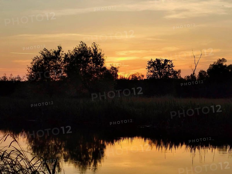 The quiet Spree at sunset with reflections of vegetation and shimmering colors in the sky, Brandenburg