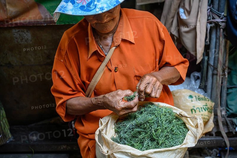 Mae Klong, Thailand. March 15th 2025. An elderly Thai woman sorts through a bag of herbs at the Maeklong Railway market, one of the largest food and seafood markets in Thailand